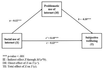 Mediation of Problematic Use in the Relationship Between Types of Internet Use and Subjective Well-Being in Schoolchildren